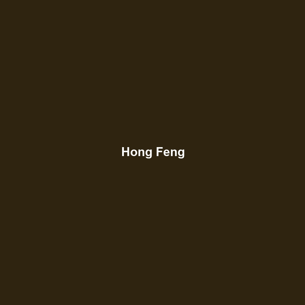 Hong Feng