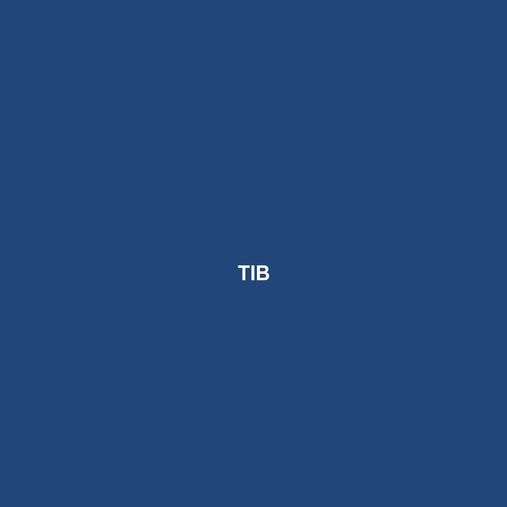 TIB